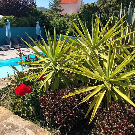 U Ricordu & マシナッジオ