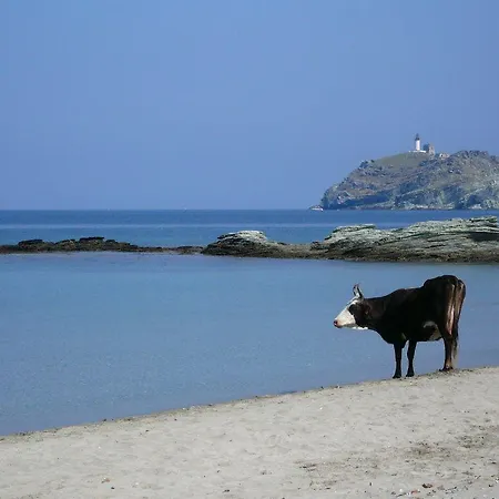 Ξενοδοχείο U Ricordu & Macinaggio (Corsica)