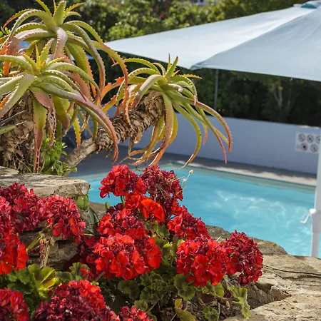 U Ricordu & 4* Macinaggio (Corsica)